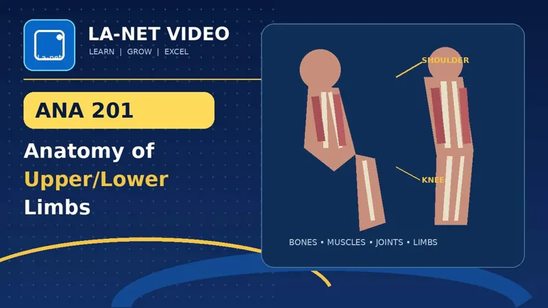 ANA 201 Anatomy of Upper/Lower Limbs